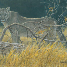 Load image into Gallery viewer, Cougar at Kikomun Matted Art Print