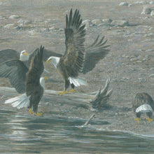 Load image into Gallery viewer, Eagles at Brackendale Matted Art Print