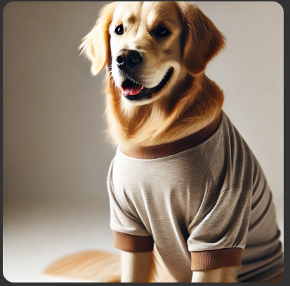 Golden retriever in a T-Shirt